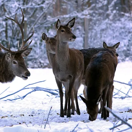 Am Bergischen Panoramasteig *