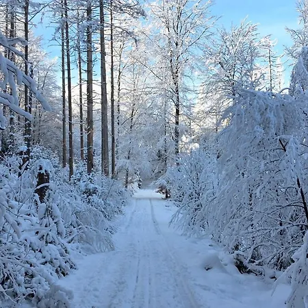 Am Bergischen Panoramasteig *