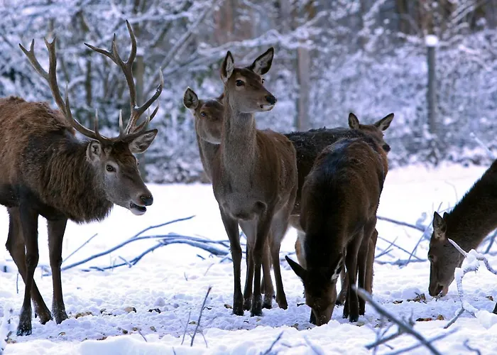 Am Bergischen Panoramasteig *