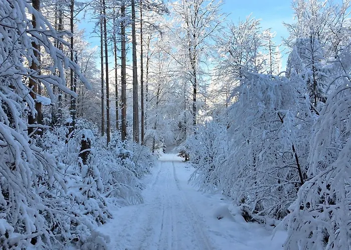 Am Bergischen Panoramasteig *